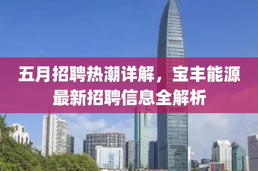 五月招聘熱潮詳解，寶豐能源最新招聘信息全解析
