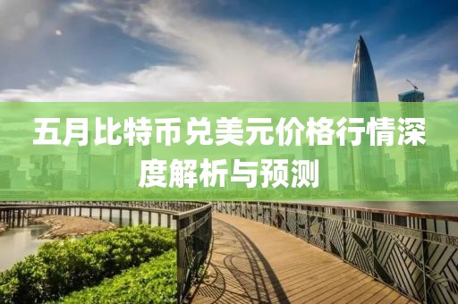 五月比特幣兌美元價(jià)格行情深度解析與預(yù)測