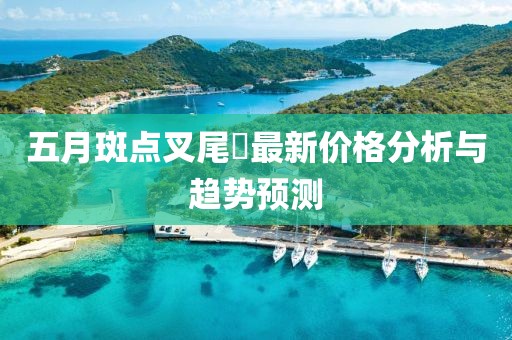 五月斑點叉尾鮰最新價格分析與趨勢預測