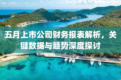 五月上市公司財(cái)務(wù)報(bào)表解析，關(guān)鍵數(shù)據(jù)與趨勢深度探討