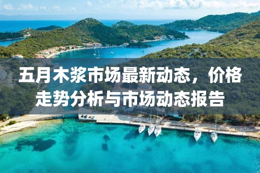 五月木漿市場最新動態(tài)，價格走勢分析與市場動態(tài)報告
