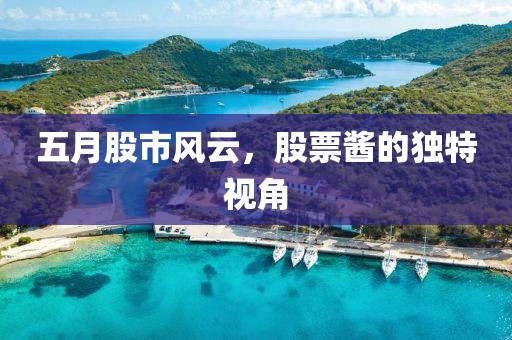 五月股市風云，股票醬的獨特視角