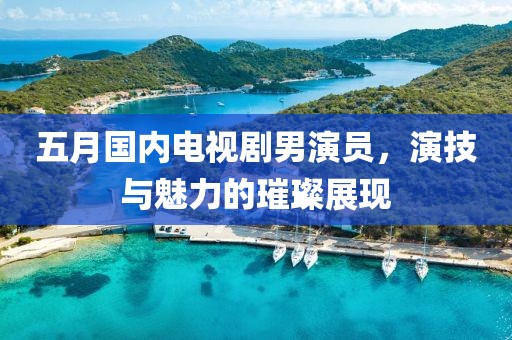 五月國內(nèi)電視劇男演員，演技與魅力的璀璨展現(xiàn)