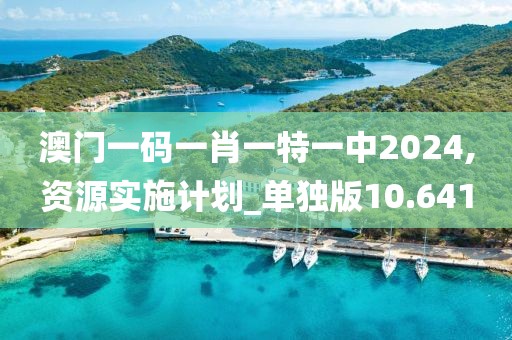 澳門一碼一肖一特一中2024,資源實施計劃_單獨版10.641