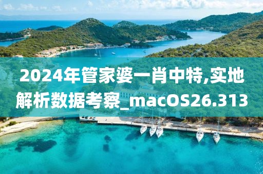 2024年管家婆一肖中特,實地解析數(shù)據(jù)考察_macOS26.313