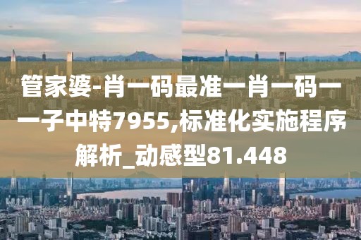 管家婆-肖一碼最準一肖一碼一一子中特7955,標準化實施程序解析_動感型81.448