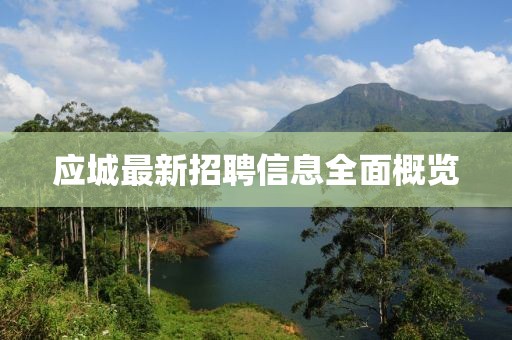 應(yīng)城最新招聘信息全面概覽