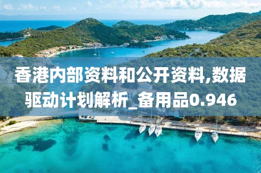 香港內(nèi)部資料和公開(kāi)資料,數(shù)據(jù)驅(qū)動(dòng)計(jì)劃解析_備用品0.946