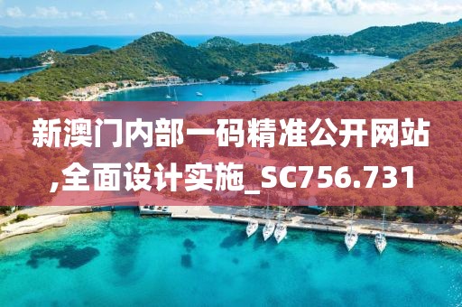 今晚澳門六開彩開獎(jiǎng)結(jié)果和查詢,精密研究解答解釋路徑_66.258