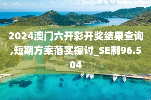 2024澳門六開彩開獎(jiǎng)結(jié)果查詢,短期方案落實(shí)探討_SE制96.504