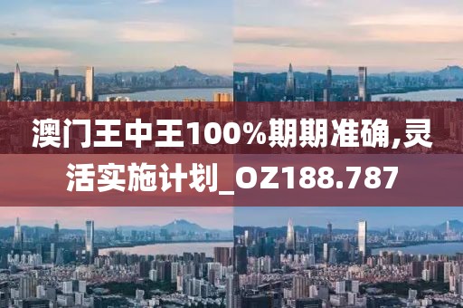 新澳門精準(zhǔn)資料大全,全局分析解釋落實_FHD制42.94