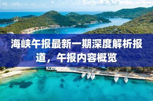 海峽午報最新一期深度解析報道，午報內(nèi)容概覽