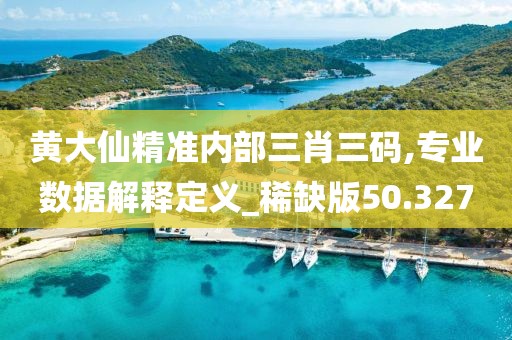 黃大仙精準內部三肖三碼,專業(yè)數據解釋定義_稀缺版50.327