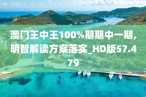 澳門王中王100%期期中一期,明智解讀方案落實(shí)_HD版57.479