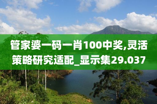 管家婆一碼一肖100中獎(jiǎng),靈活策略研究適配_顯示集29.037