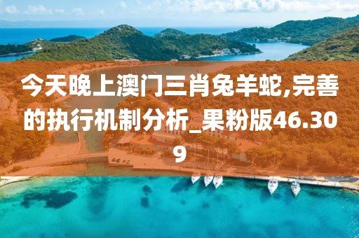 今天晚上澳門三肖兔羊蛇,完善的執(zhí)行機(jī)制分析_果粉版46.309