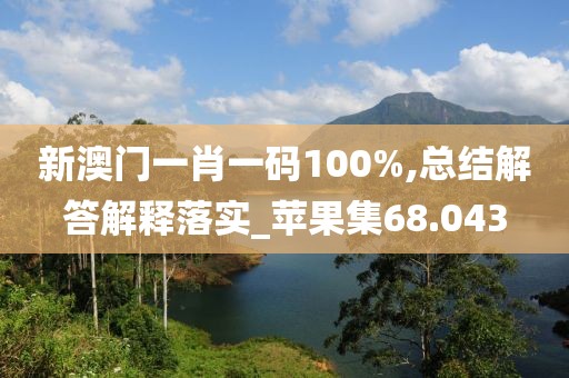 新澳門一肖一碼100%,總結(jié)解答解釋落實_蘋果集68.043