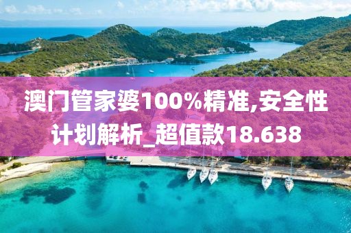 澳門管家婆100%精準,安全性計劃解析_超值款18.638
