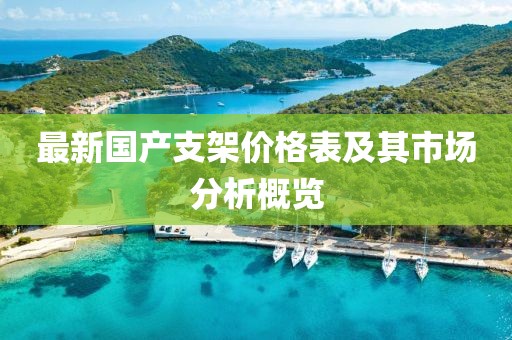 最新國(guó)產(chǎn)支架價(jià)格表及其市場(chǎng)分析概覽
