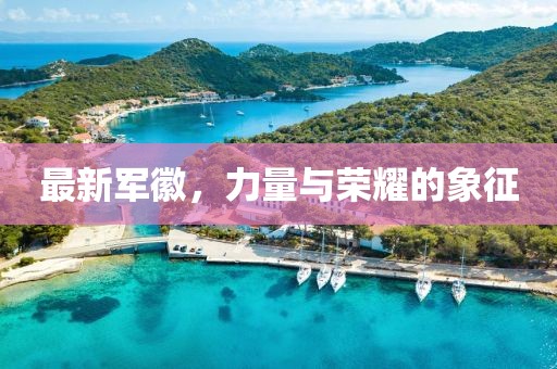 最新軍徽，力量與榮耀的象征